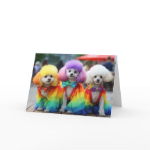 Gay Pride Bichon Frisse hunde