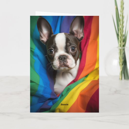 Gay Pride Boston Terrier Card Karte (Rückseite)
