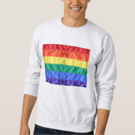 Gay Pride der Regenbogenflagge LGBTQ LGBT Liebe is Sweatshirt