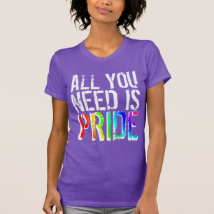Gay Pride Farben Alles was Sie brauchen ist Stolz T-Shirt