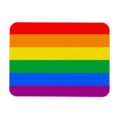 Gay Pride Magnet (Horizontal)