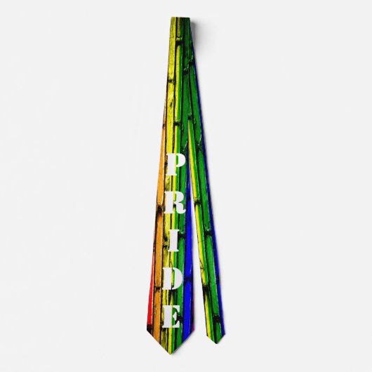 Gay Pride Rainbow Bricks Krawatte (Vorderseite)