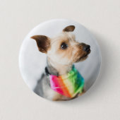 Gay Pride Rainbow Dog | Yorkshire Terrier Button (Vorderseite)