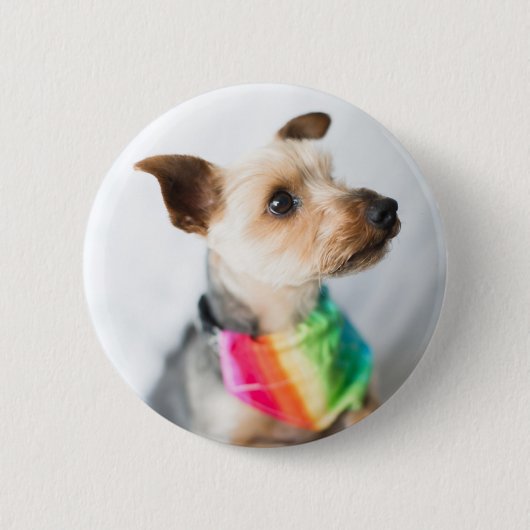 Gay Pride Rainbow Dog | Yorkshire Terrier Button (Vorderseite)
