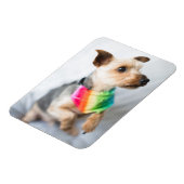 Gay Pride Rainbow Dog | Yorkshire Terrier Magnet (Linke Seite)