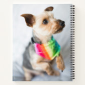 Gay Pride Rainbow Dog | Yorkshire Terrier Notizblock (Rückseite)