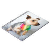 Gay Pride Rainbow Dog | Yorkshire Terrier Notizblock (Linke Seite)