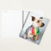 Gay Pride Rainbow Dog | Yorkshire Terrier Planer (Anzeige)