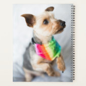 Gay Pride Rainbow Dog | Yorkshire Terrier Planer (Rückseite)