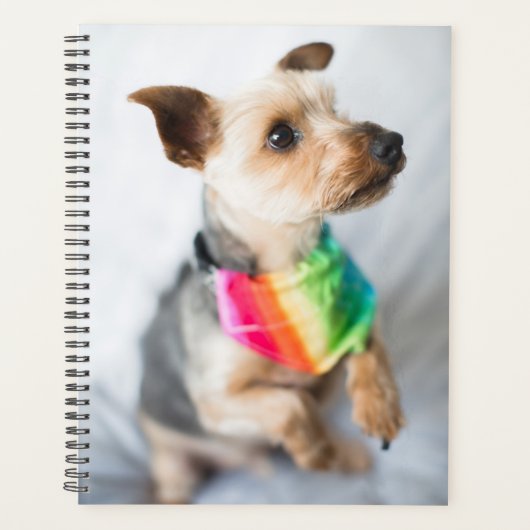 Gay Pride Rainbow Dog | Yorkshire Terrier Planer (Vorderseite)