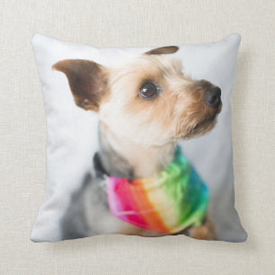 Gay Pride Rainbow Hund Yorkshire Terrier Kissen