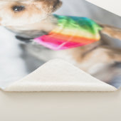 Gay Pride Rainbow Hund| Yorkshire Terrier Sherpadecke (3/4)