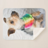 Gay Pride Rainbow Hund| Yorkshire Terrier Sherpadecke (Vorderseite (Horizontal))