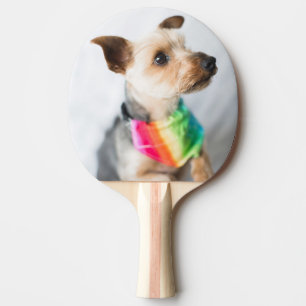 Gay Pride Rainbow Hund  Yorkshire Terrier Tischtennis Schläger