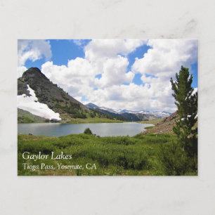 Gaylor Seen, Tioga Pass, Yosemite, CA Postkarte
