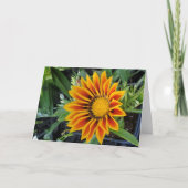 Gazakarte Karte (Vorderseite)