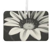 Gazania Autolufterfrischer (Rückseite)