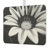 Gazania Autolufterfrischer (Links)
