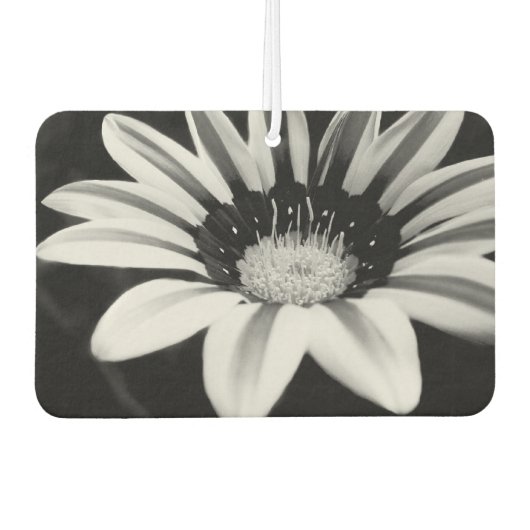 Gazania Autolufterfrischer (Vorderseite)