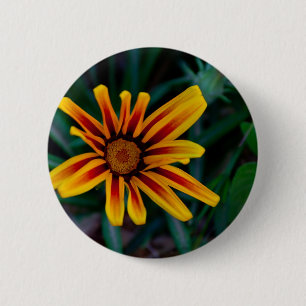 Gazania-Blume Button