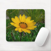 Gazania-Blume Mousepad (Mit Mouse)