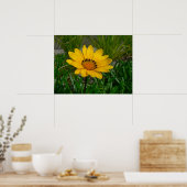 Gazania-Blume Poster (Küche)