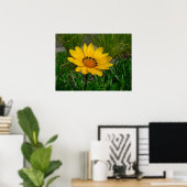 Gazania-Blume Poster (Heimbüro)