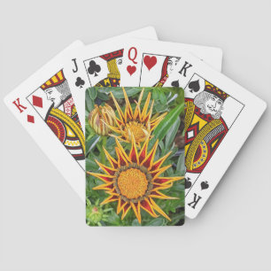 Gazania Blume Spielkarten