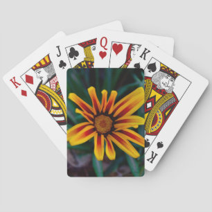 Gazania-Blume Spielkarten