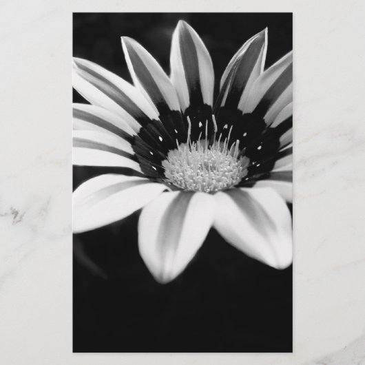 Gazania Briefpapier (Vorderseite)