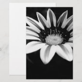 Gazania Briefpapier (Vorne/Hinten)
