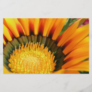 Gazania Briefpapier