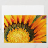 Gazania Briefpapier (Vorne/Hinten)