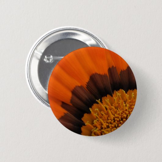 Gazania Button (Vorne & Hinten)