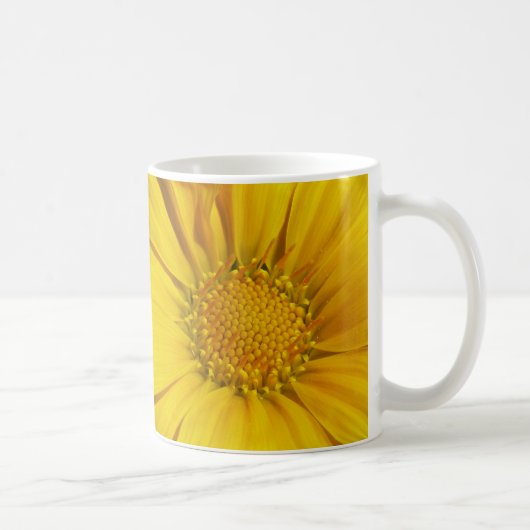 Gazania Kaffeetasse (Rechts)