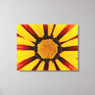 Gazania Leinwanddruck