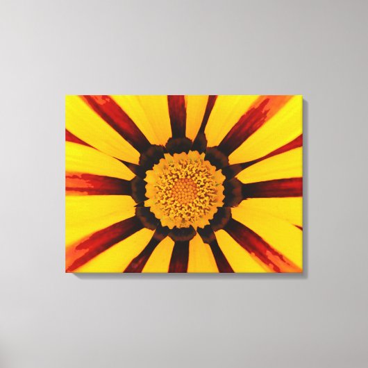 Gazania Leinwanddruck (Vorderseite)
