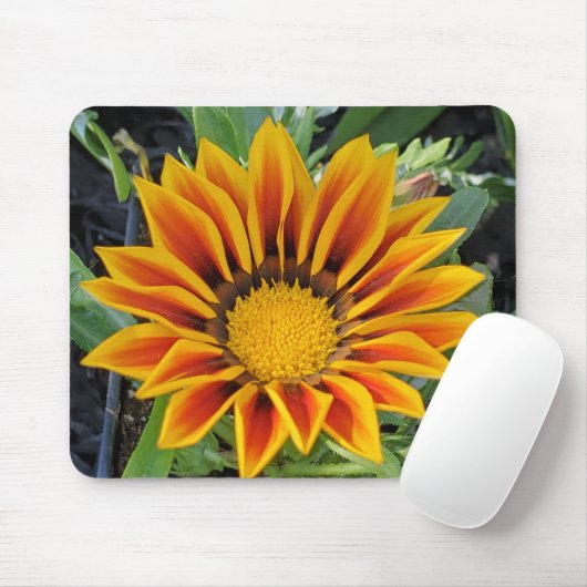 Gazania Mousepad (Mit Mouse)