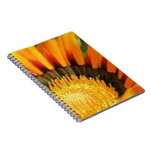 Gazania Notizblock (Rechte Seite)