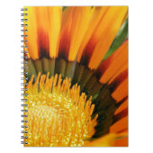 Gazania Notizblock (Vorderseite)