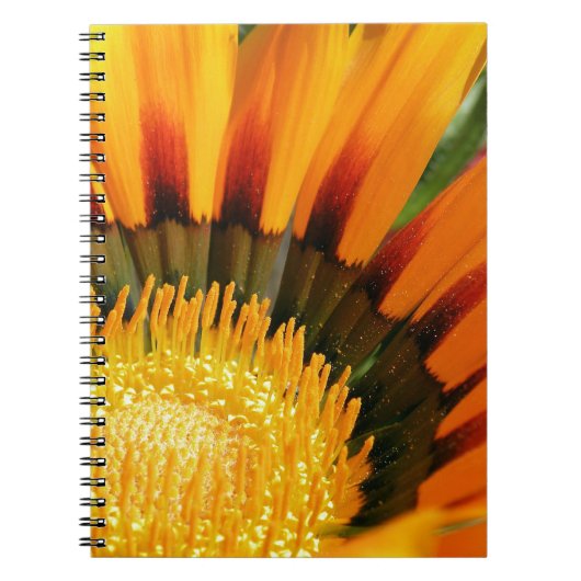 Gazania Notizblock (Vorderseite)