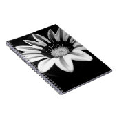 Gazania Notizblock (Rechte Seite)