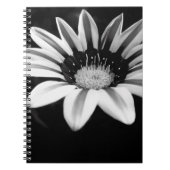 Gazania Notizblock (Vorderseite)