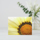Gazania Postcard Postkarte (Stehend Vorderseite)