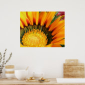 Gazania Poster (Küche)
