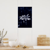 Gazania Poster (Küche)