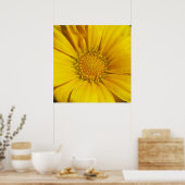 Gazania Poster (Küche)