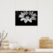 Gazania Poster (Küche)