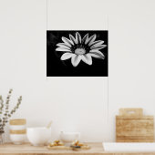 Gazania Poster (Küche)