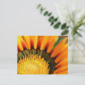Gazania Postkarte (Stehend Vorderseite)